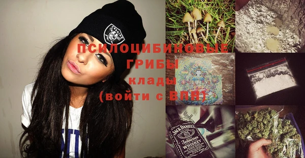 a pvp Дмитров