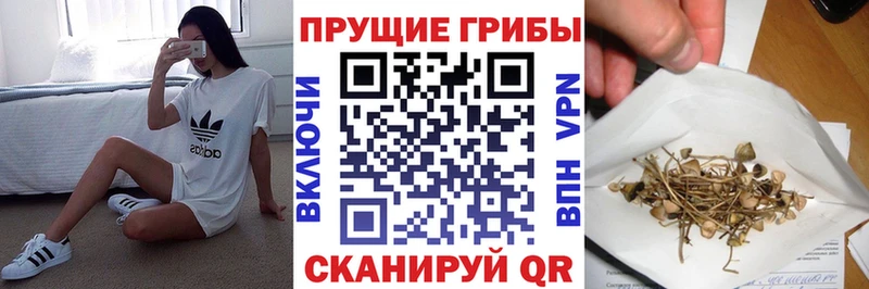 Псилоцибиновые грибы ЛСД  Купить где  Павловск 